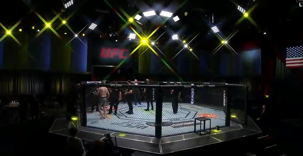 Trzech Polaków poza organizacją UFC