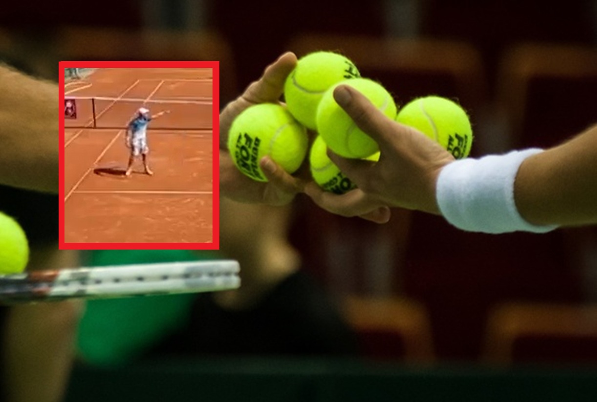 Wstyd i kompromitacja Rosjanina. Obrzydliwe zachowanie