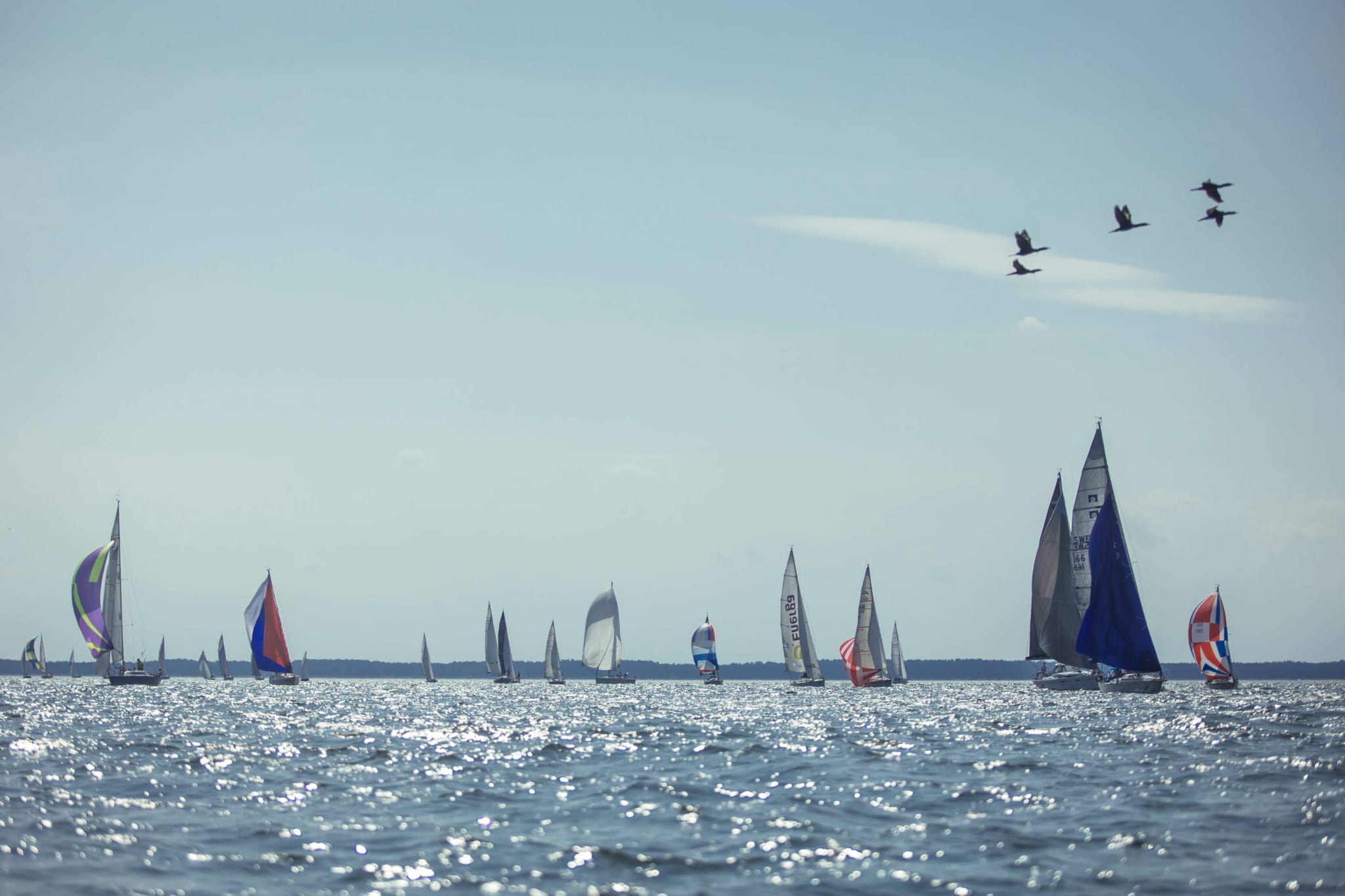 Regaty Sailing Factory Cup 2025 – rozpoczęcie sezonu żeglarskiego na sportowo!