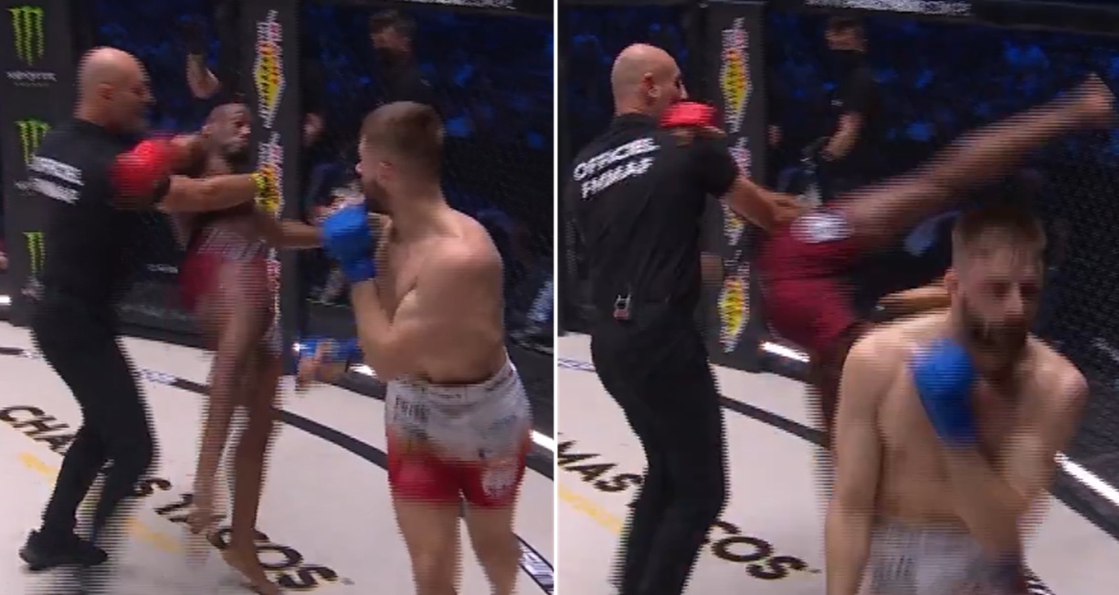 Kuriozalne sceny na KSW. Sędzia wkroczył do akcji