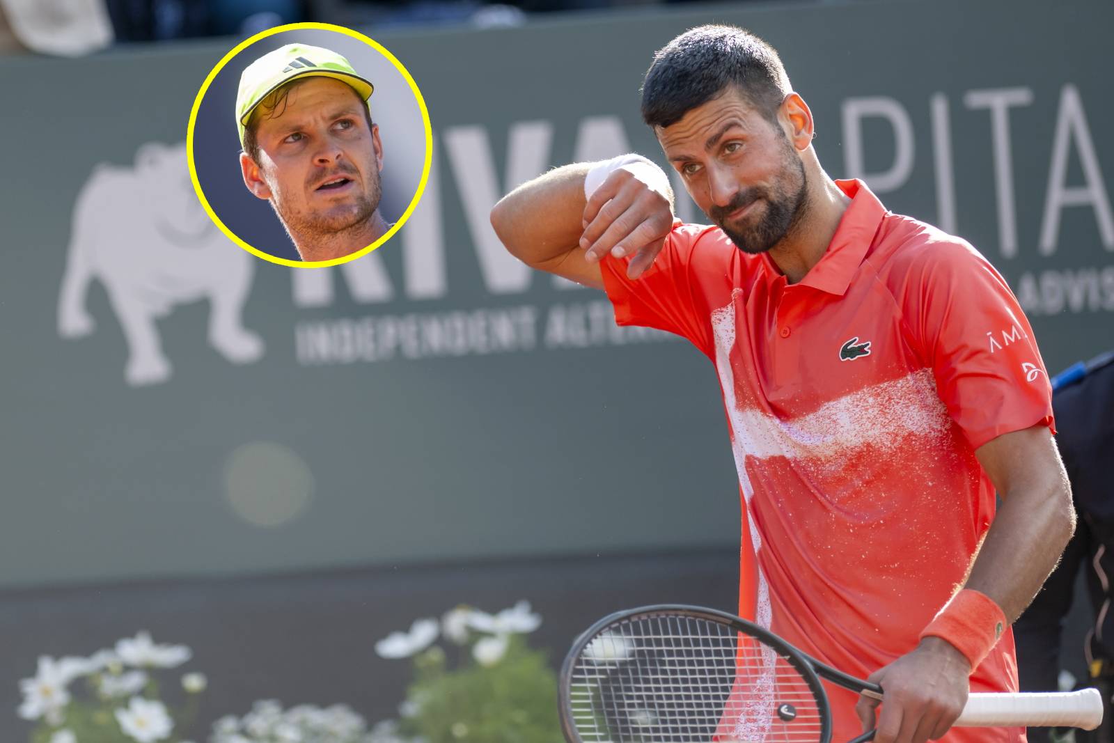 Djoković zwrócił się do Polaka. O tych słowach będzie głośno