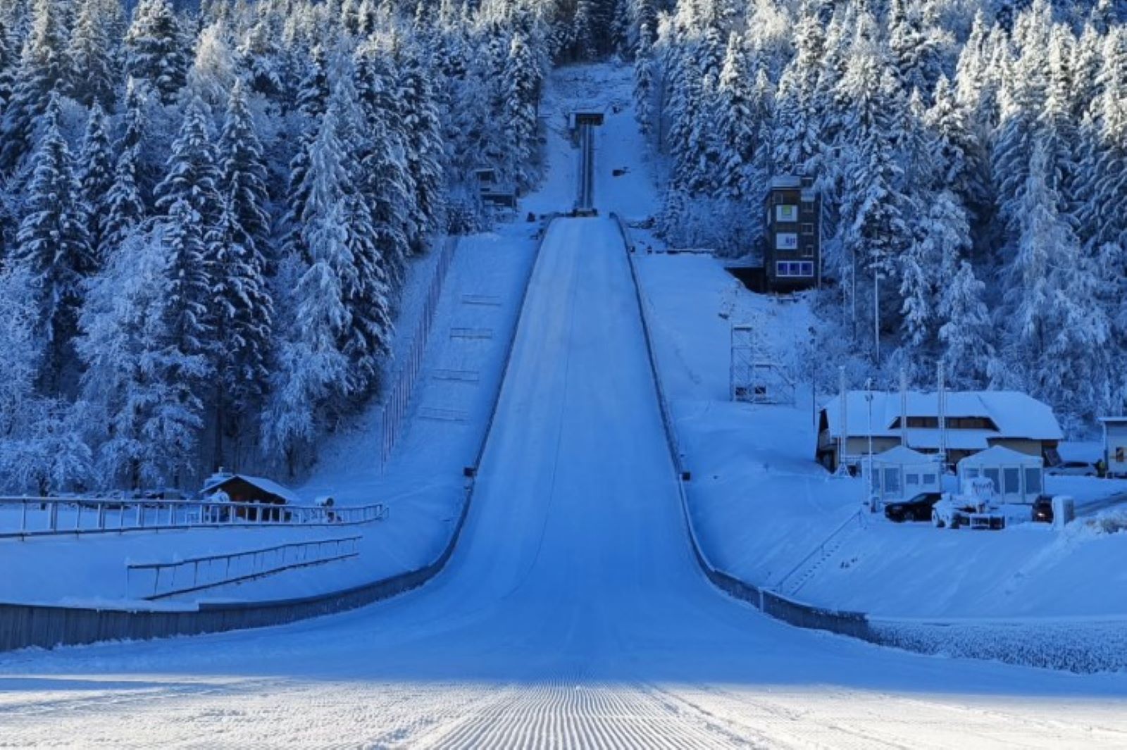 Będzie nowy "gigant"? Jasne stanowisko Pertille