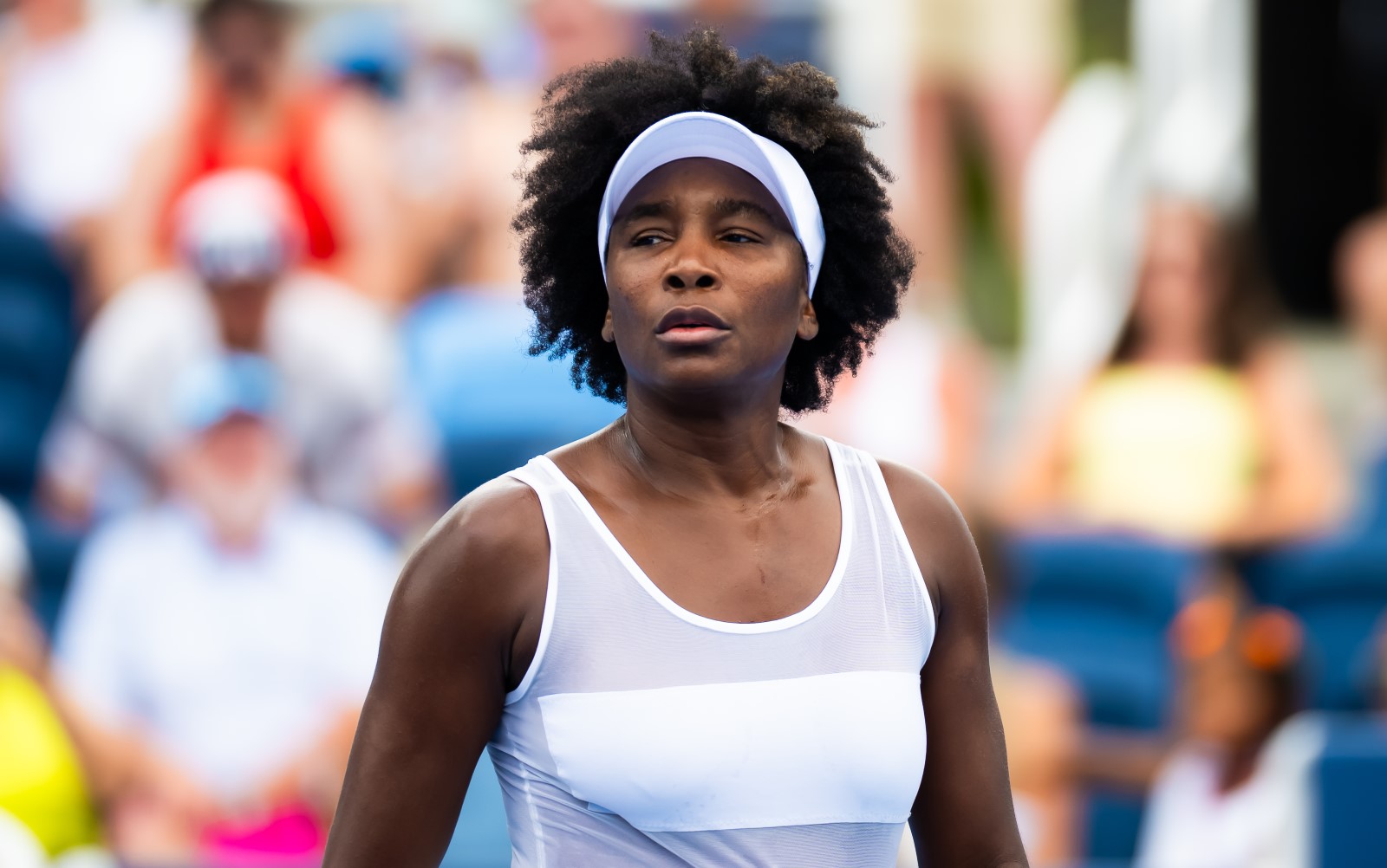 Co za wieści o Williams. Takiej sytuacji nie było od 44 lat