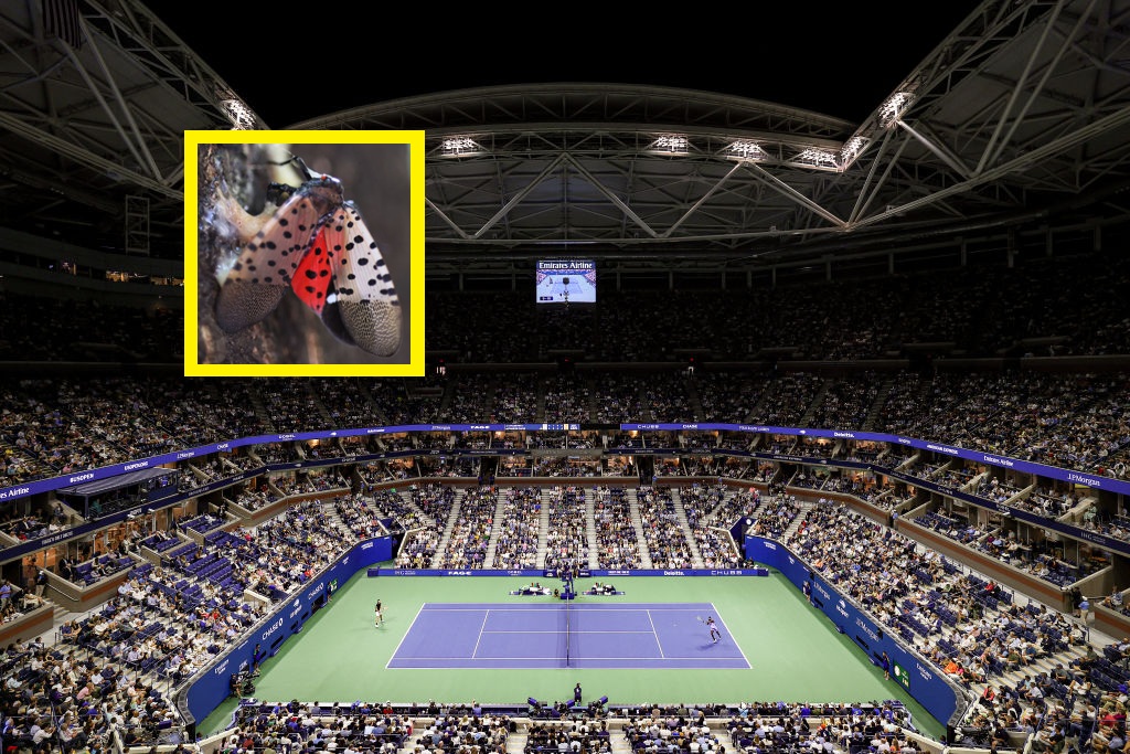 Obawiają się tego na US Open. "Nadepnij na to"