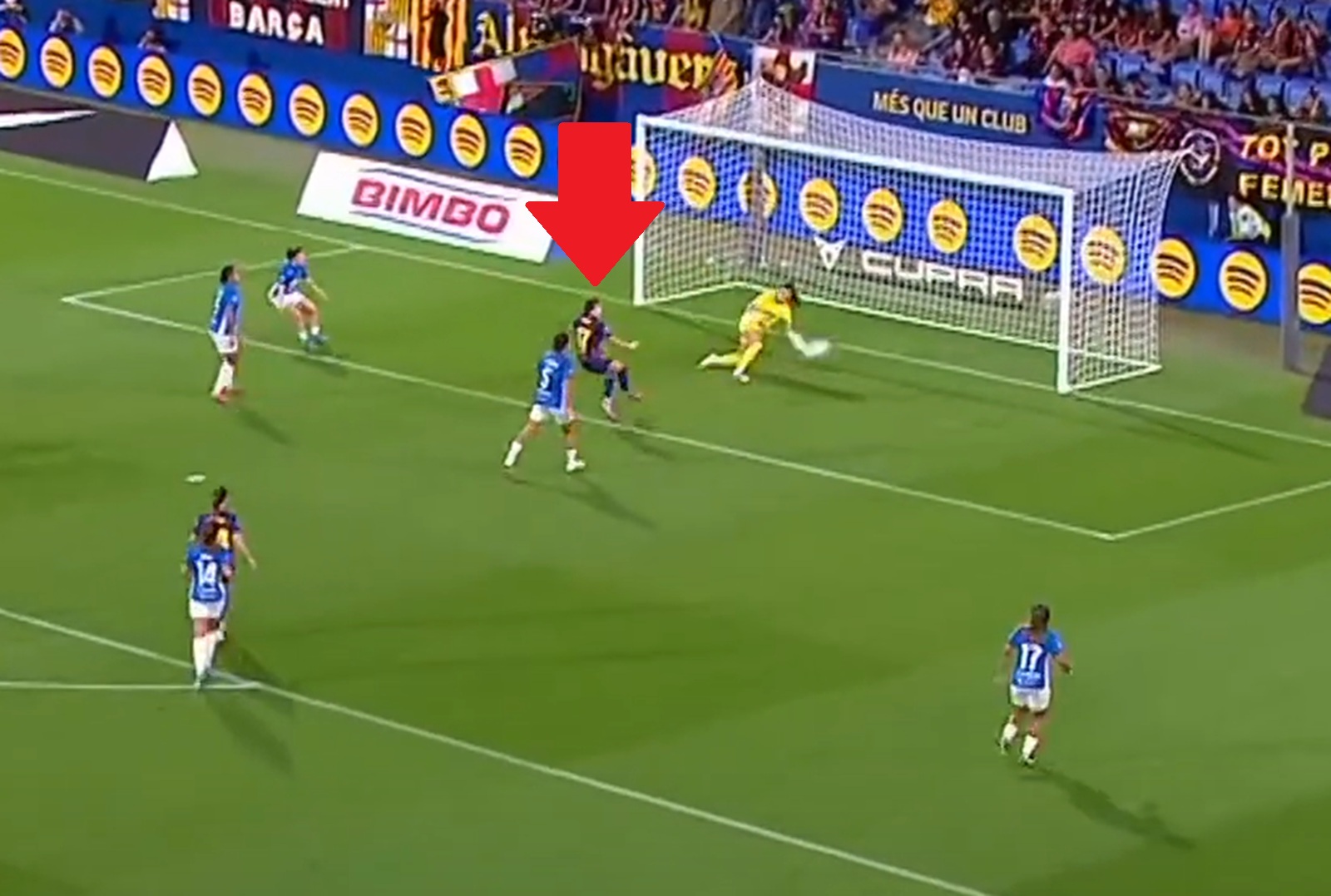 Istna demolka. 8:0 i rewelacyjny występ Pajor w Barcelonie