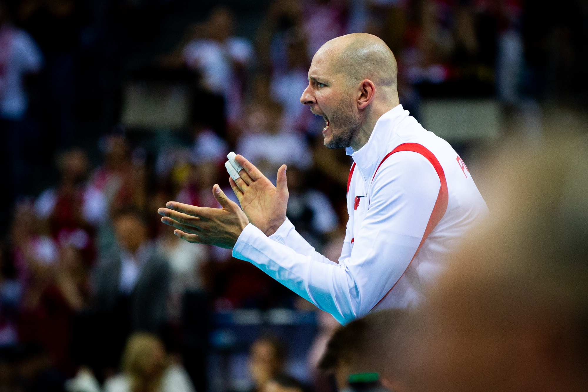 Powrót Kurka i cenne punkty Tokyo Great Bears