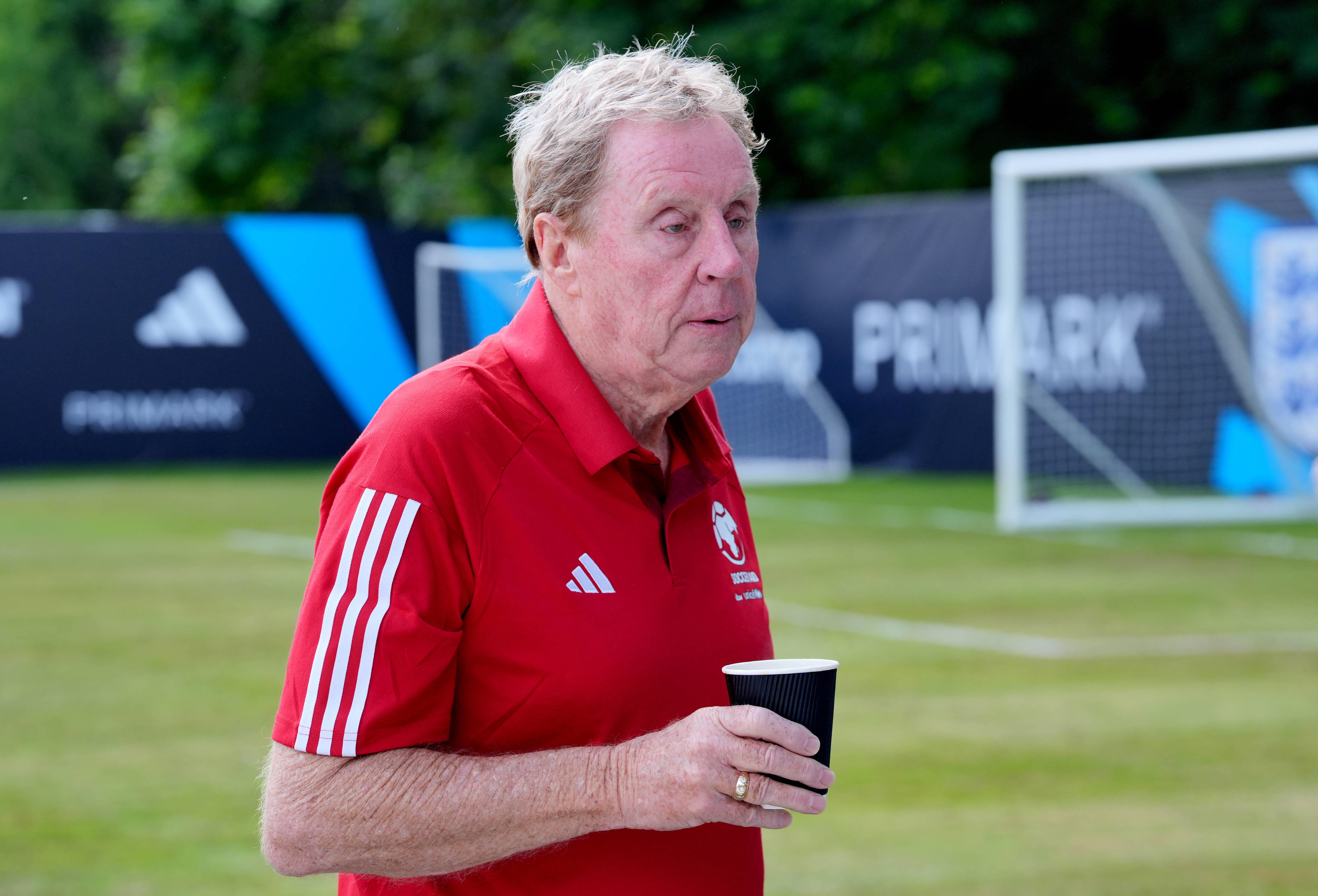 Harry Redknapp w zupełnie nowej roli! Stawia na sport, który króluje w Polsce