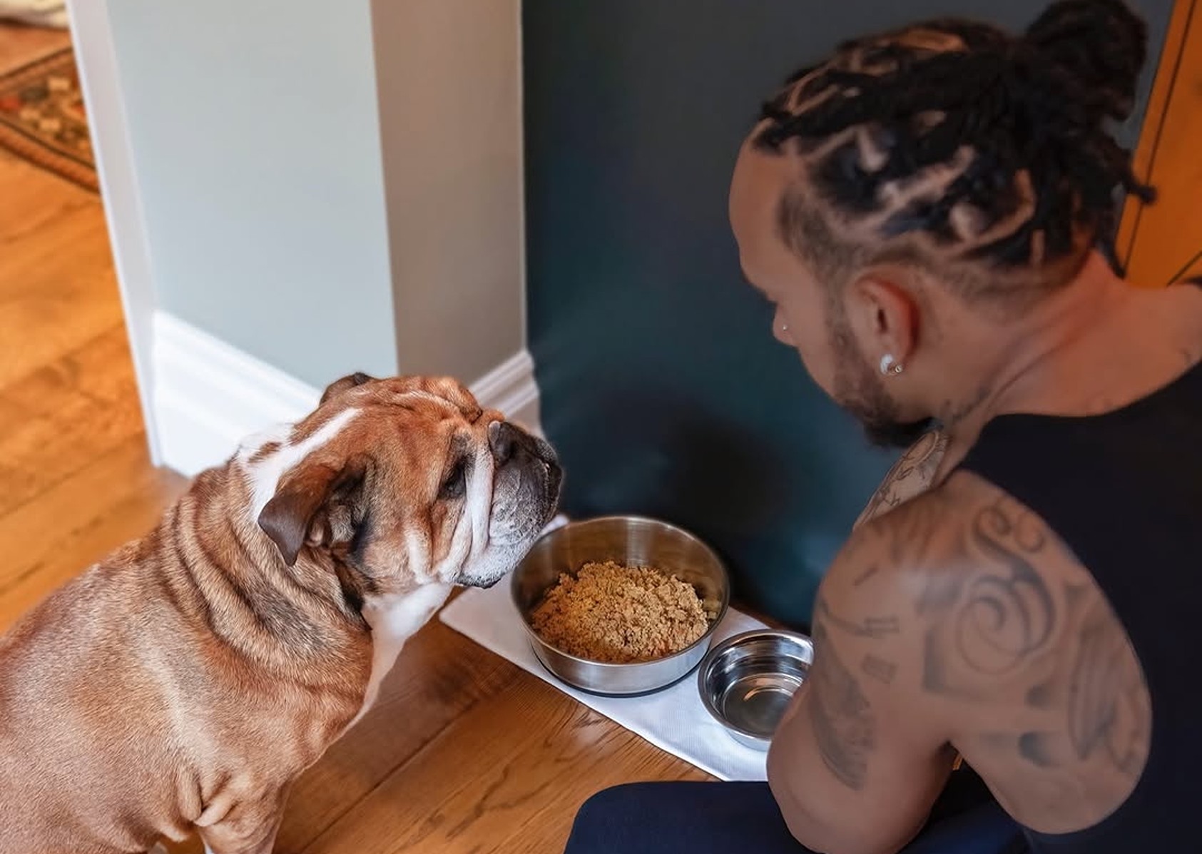 Hamilton nieobecny na testach F1. Winna choroba psa?