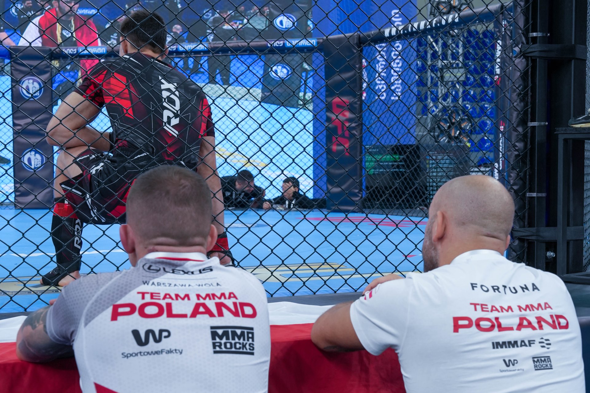 Kolejne zwycięstwa Polaków na Mistrzostwach Świata MMA Juniorów i Seniorów 2025