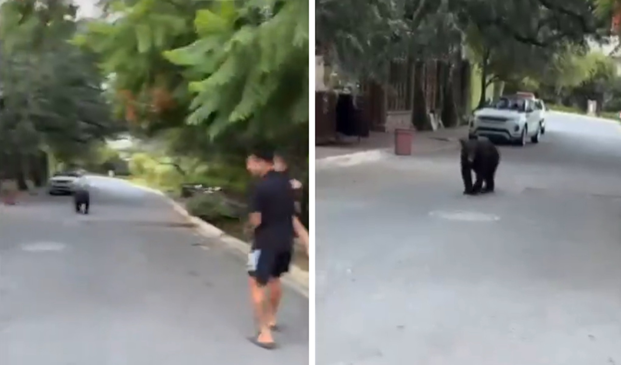 Miał córeczkę na rękach. I nagle takie sceny. Powiało grozą