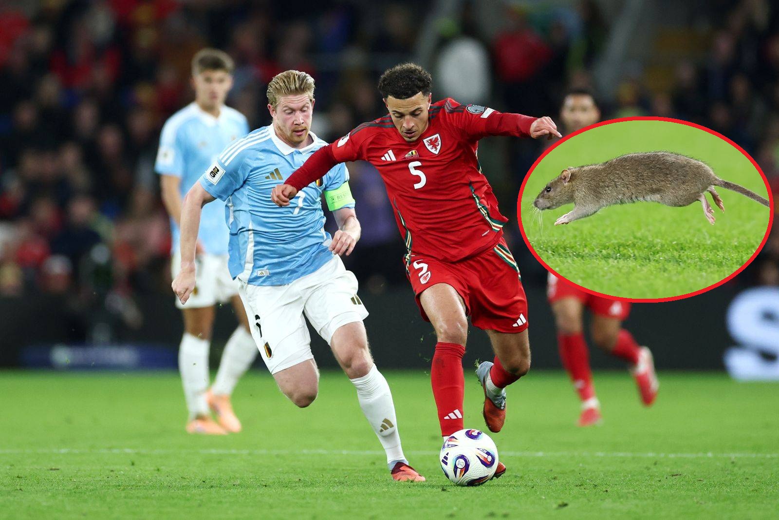 Mecz eliminacji do MŚ wstrzymany. Kuriozalny powód