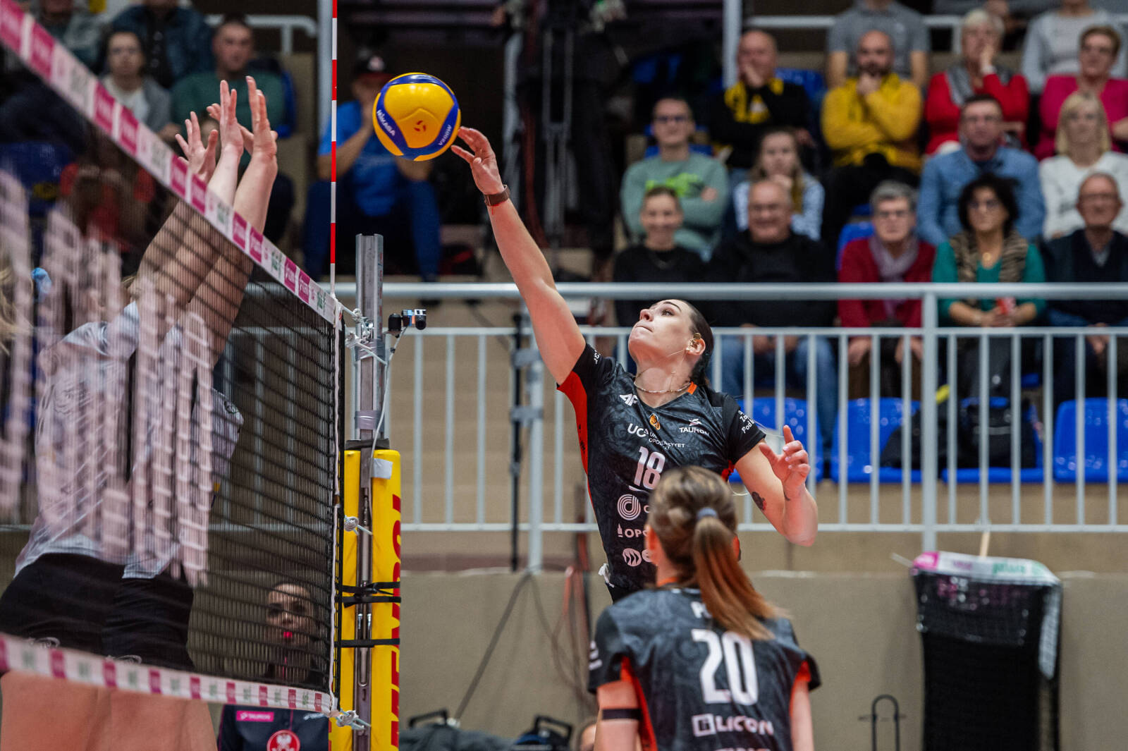 Było prawie bezkompromisowo. Szóstka 4. kolejki Tauron Ligi