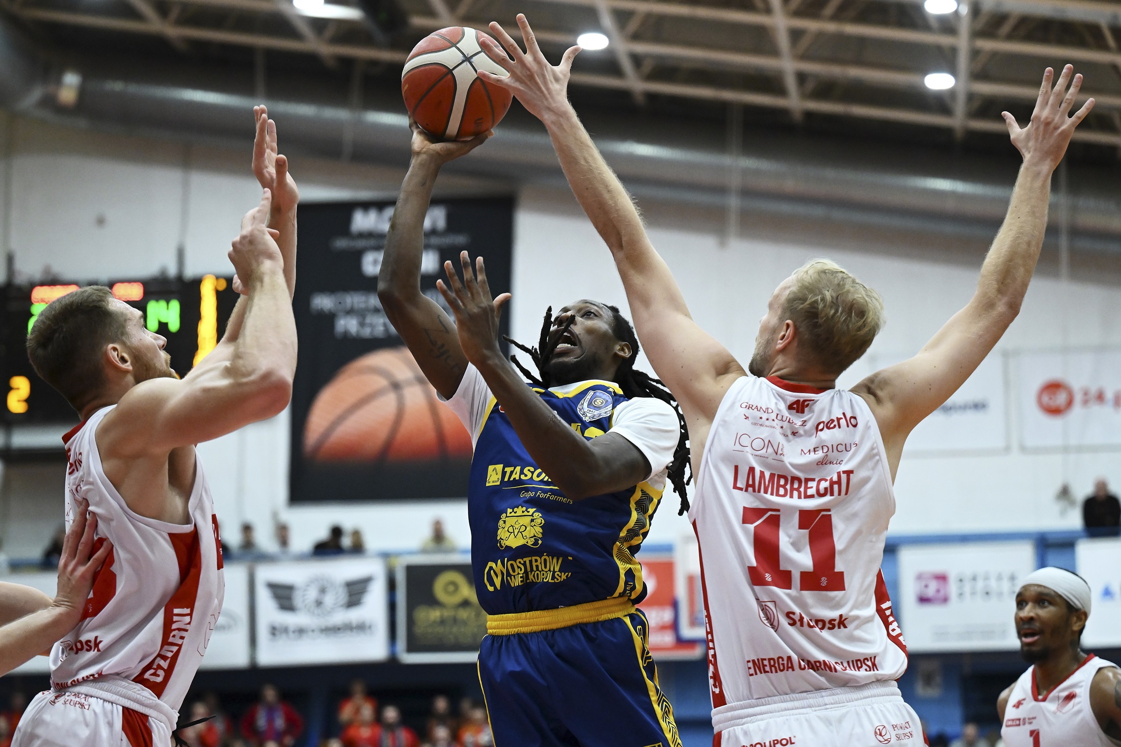 Dotrzymali słowa. Imponujący powrót Tasomix Rosiek Stali