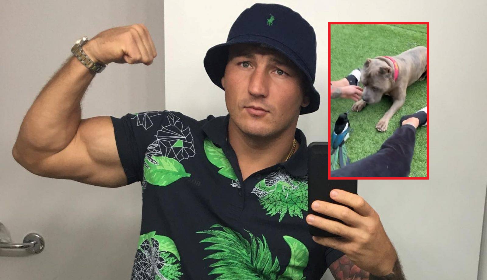 Sroka vs. Pumba. Szpilka pokazał nagranie