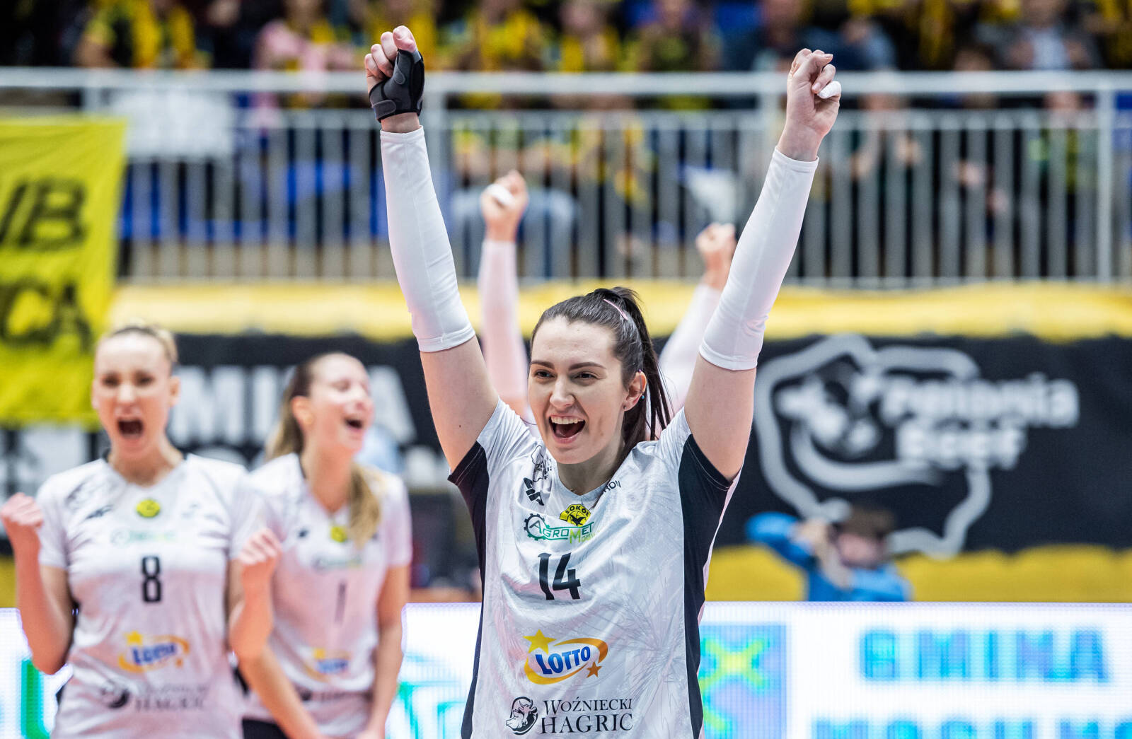 Nie zapomnieliśmy! Szóstka 6. kolejki Tauron Ligi