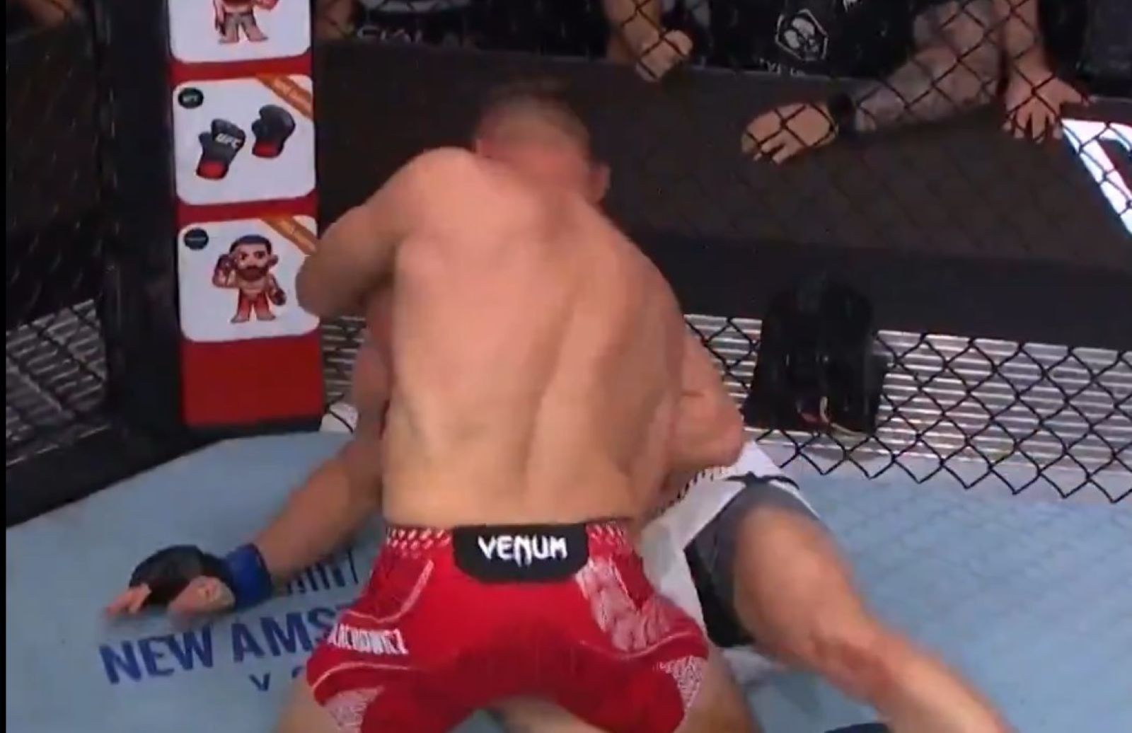 Wielki zwrot w walce Błachowicza. Polak zrobił to 10 sekund przed końcem [WIDEO]