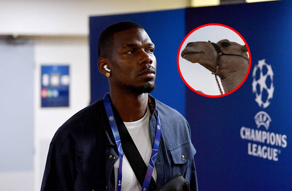 Szokujące zajęcie Paula Pogby. Tego się nikt nie spodziewał