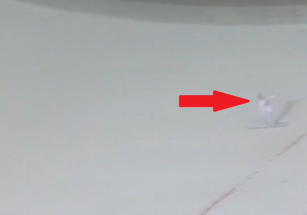 "Nie było czego zbierać". Niewiarygodny lot w Niemczech