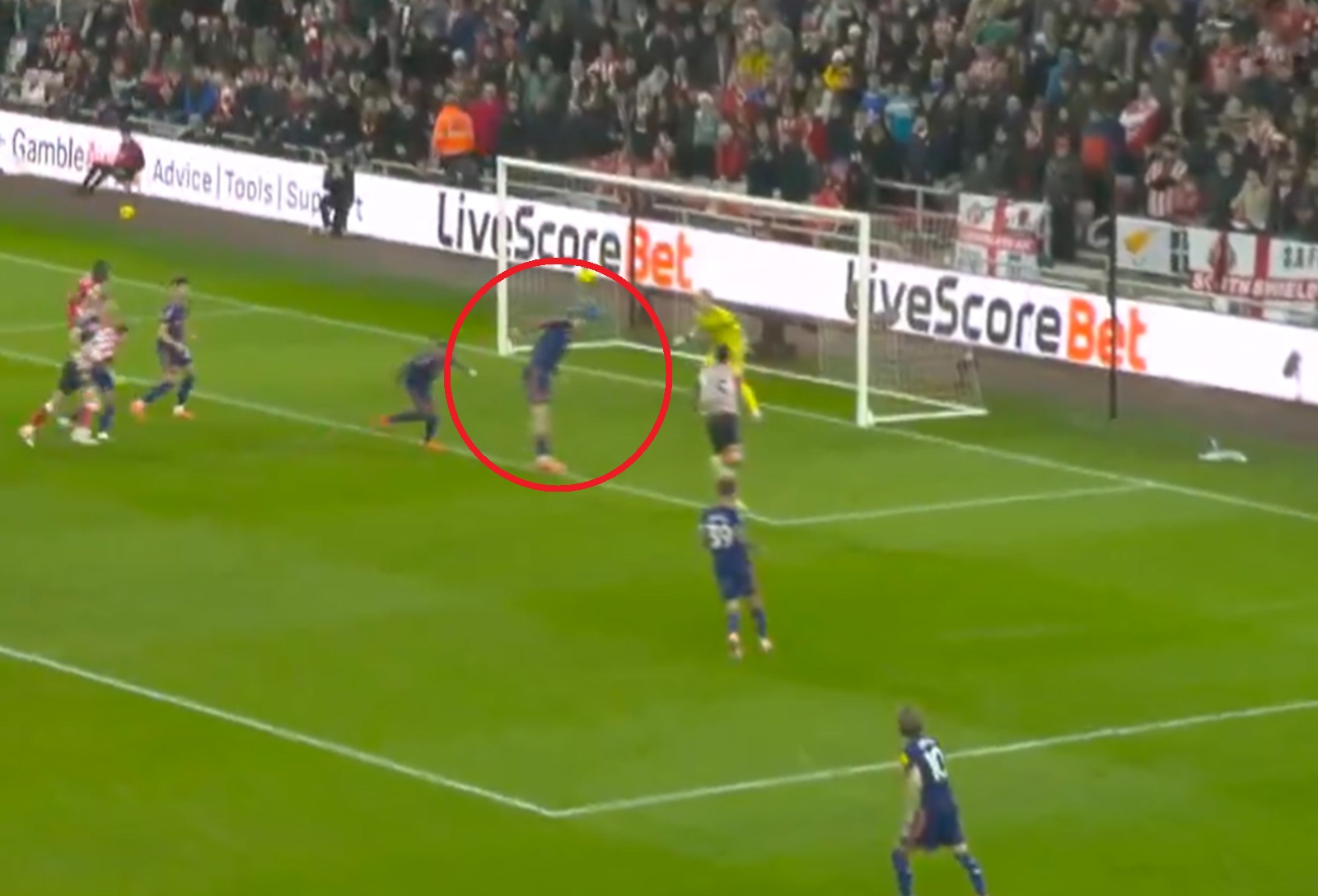 "Co on zrobił?". Kompromitacja niemieckiej gwiazdy [WIDEO]