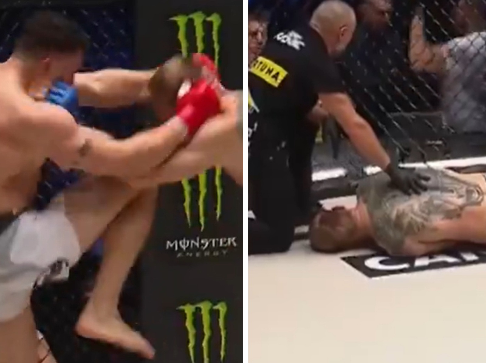 Bolesny nokaut na Lisku. Tylko spójrz [WIDEO]