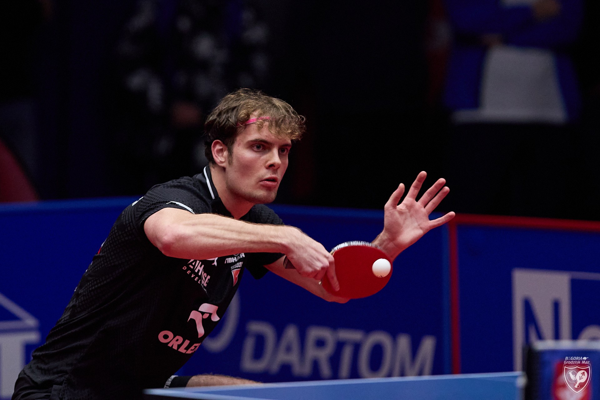 Orlen Bogoria, Dekorglass i Orlicz zagrają o Final Four Ligi Mistrzów