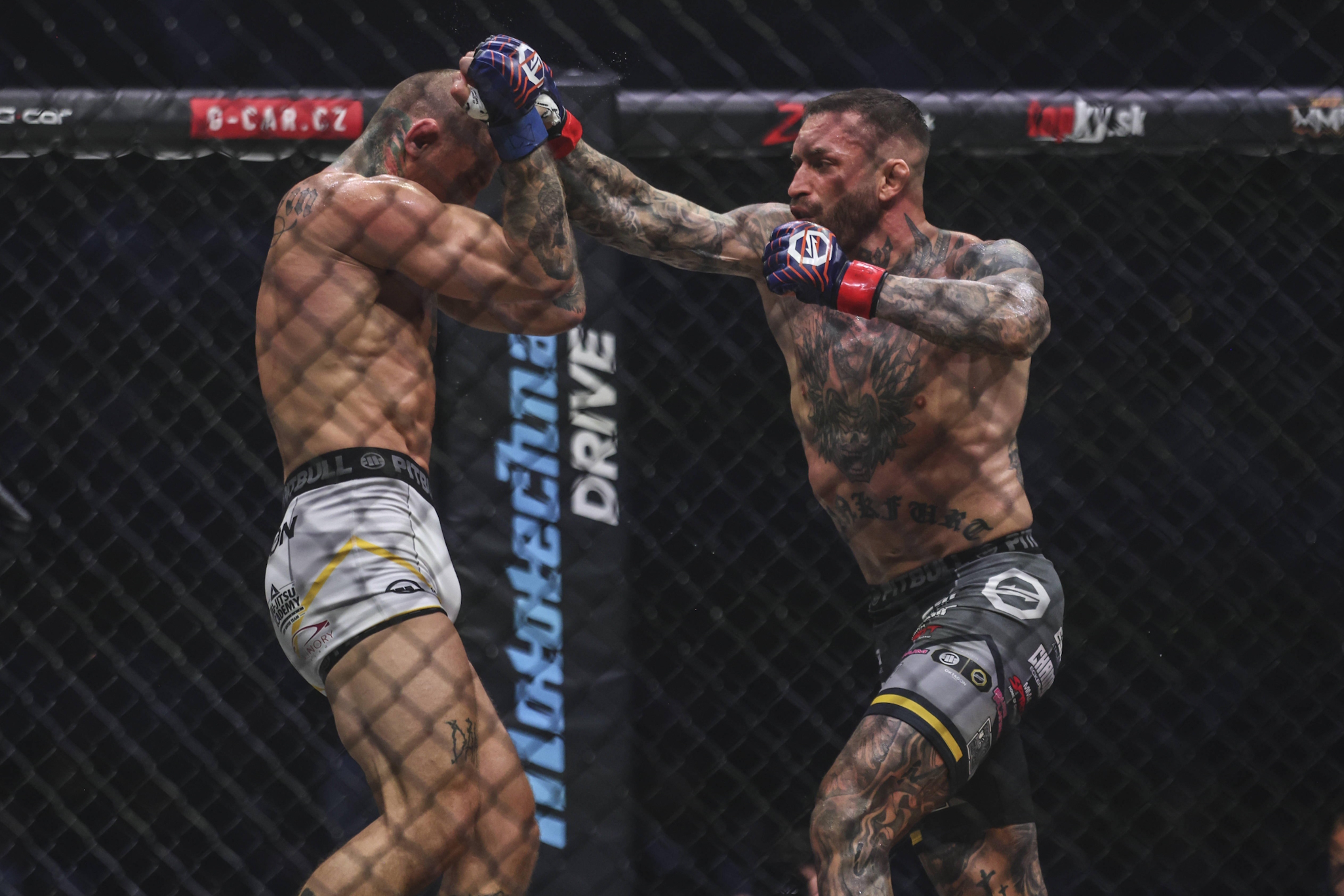 Organizacja Oktagon idzie za ciosem, pozyskała potężnego partnera