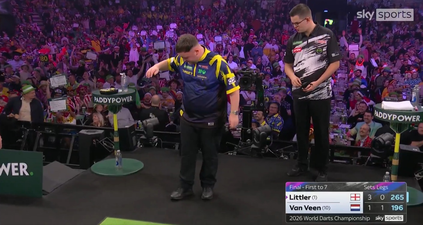 Mistrz świata walczył z osą. Sceny w meczu finałowym