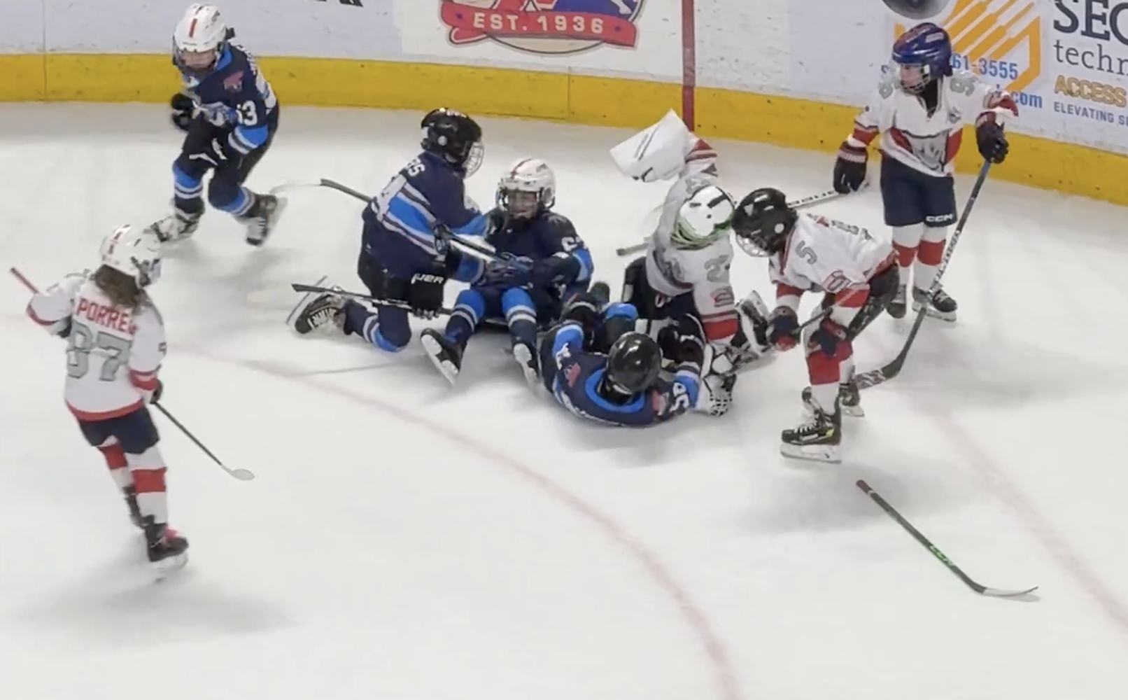 Miliony wyświetleń. Bójka na meczu młodych hokeistów