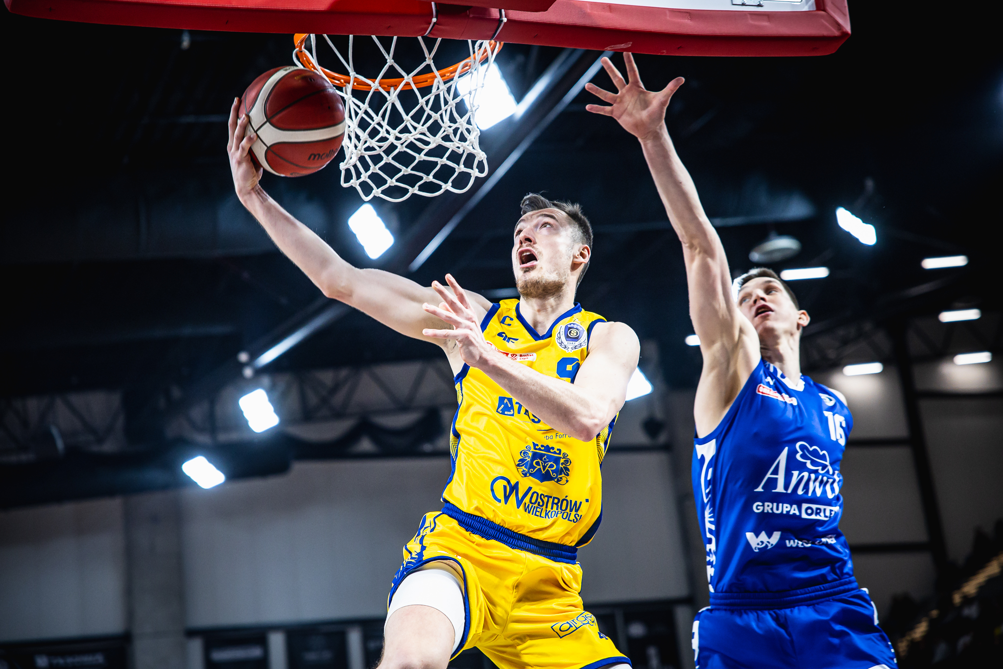 Ta drużyna robi furorę. Stal znów pokonała faworyta!