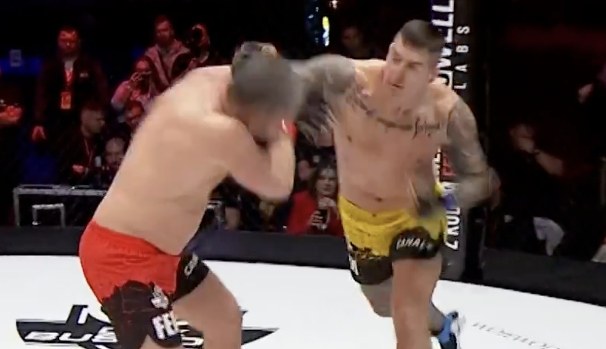 Padł jak rażony piorunem. Brutalny nokaut w polskim oktagonie