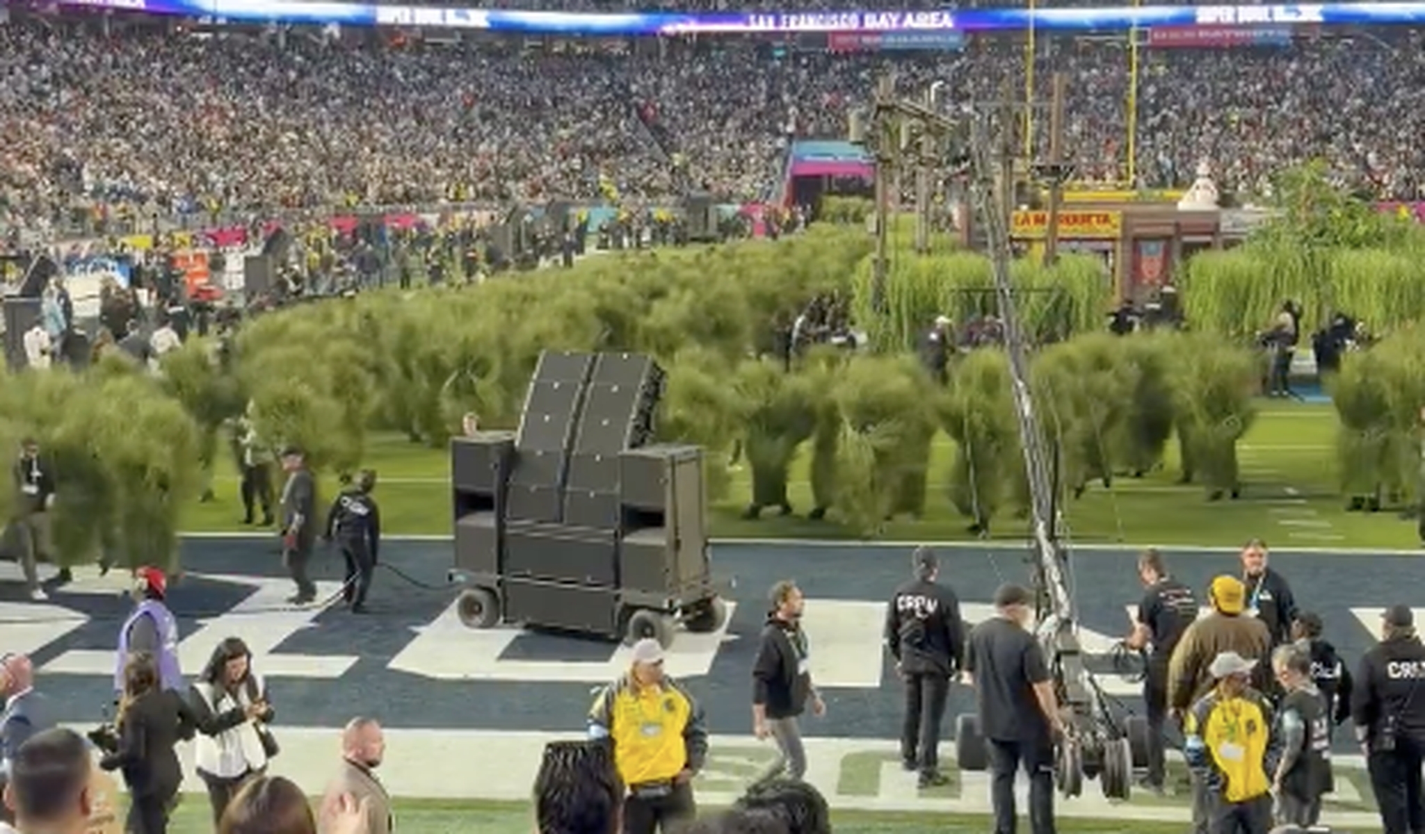 Ludzie-krzaki. Nagranie ma już 8 mln wyświetleń