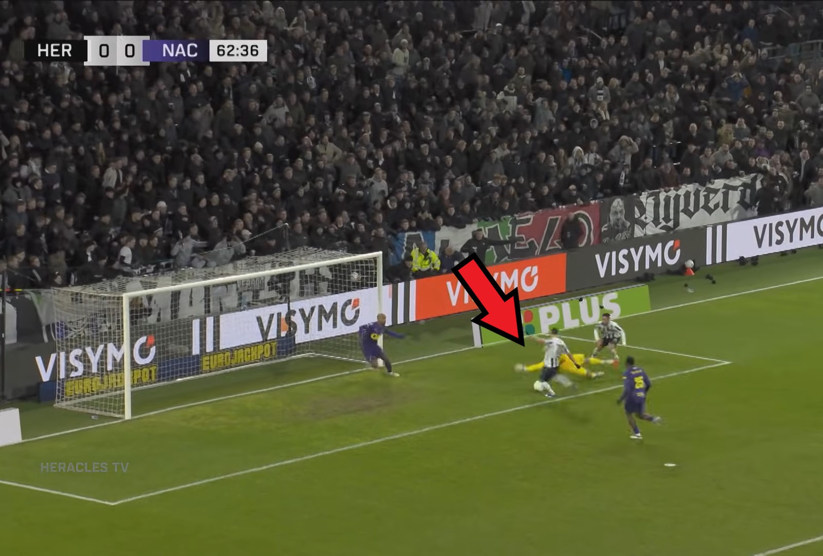 Spektakularna interwencja Polaka. Koledzy byli pod wrażeniem [WIDEO]