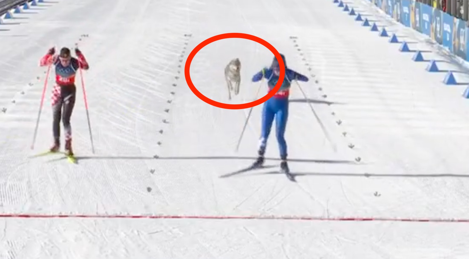 "Oszałamiające". Hit sieci. Spójrz, kto nagle wpadł na metę