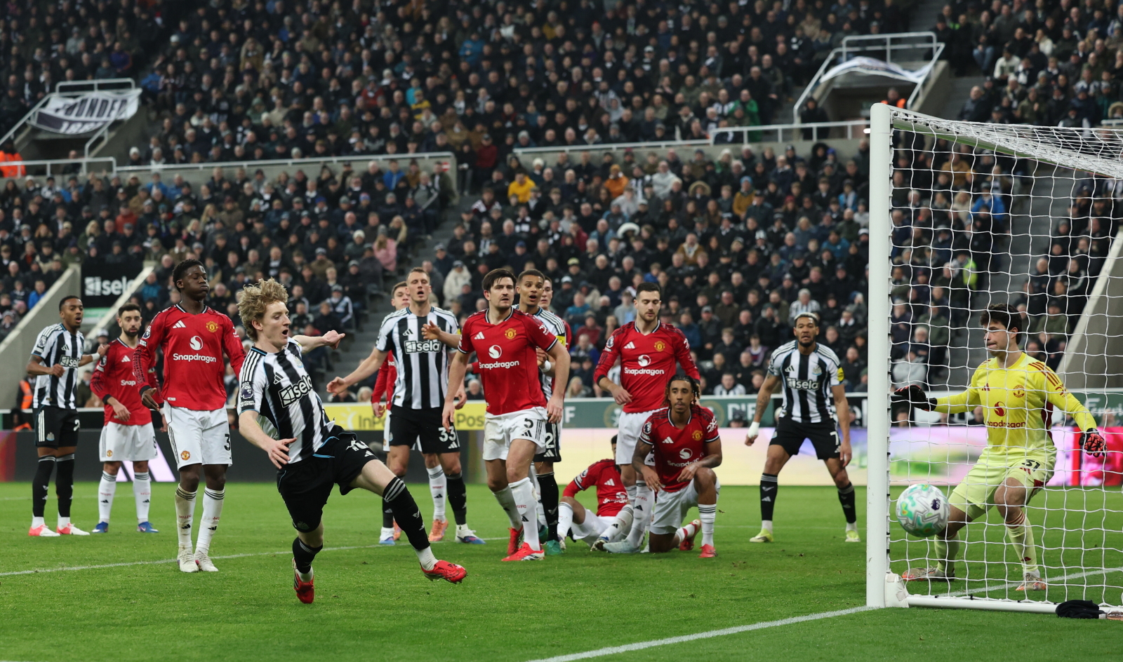 Euforia w Newcastle! Manchester United pokonany