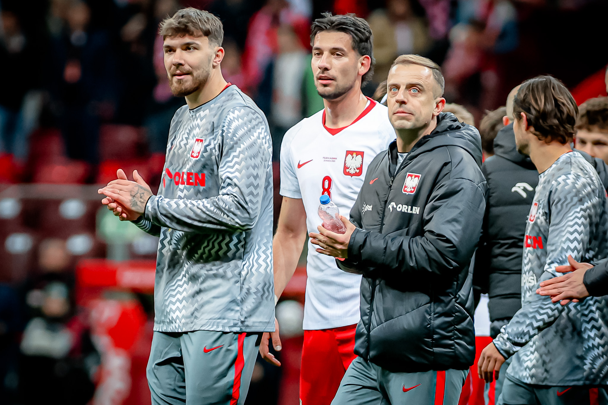 Znamy sędziego barażu Szwecja - Polska. To może być dobry znak!