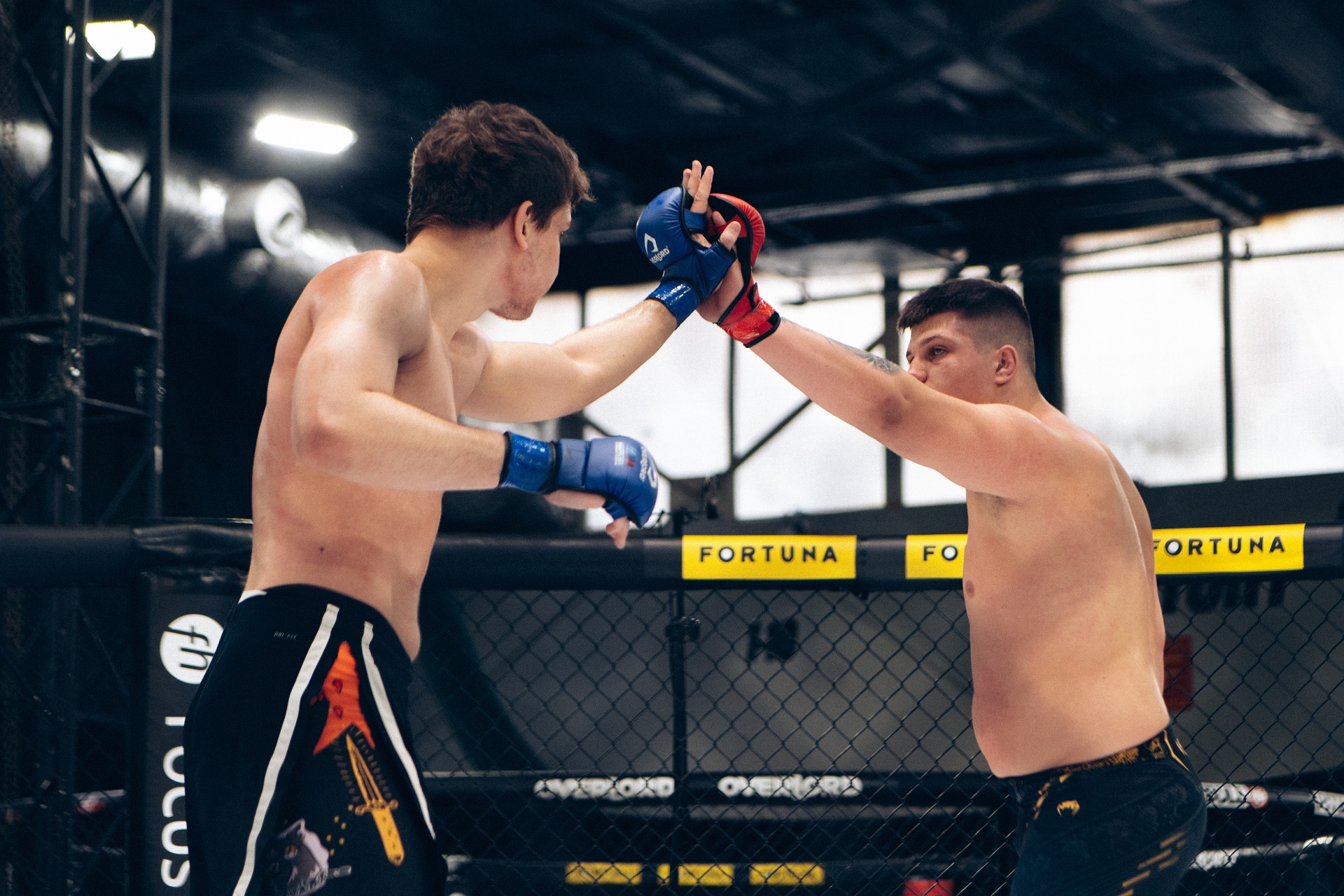 Blisko 550 walk stoczono podczas 16. Mistrzostw MMA