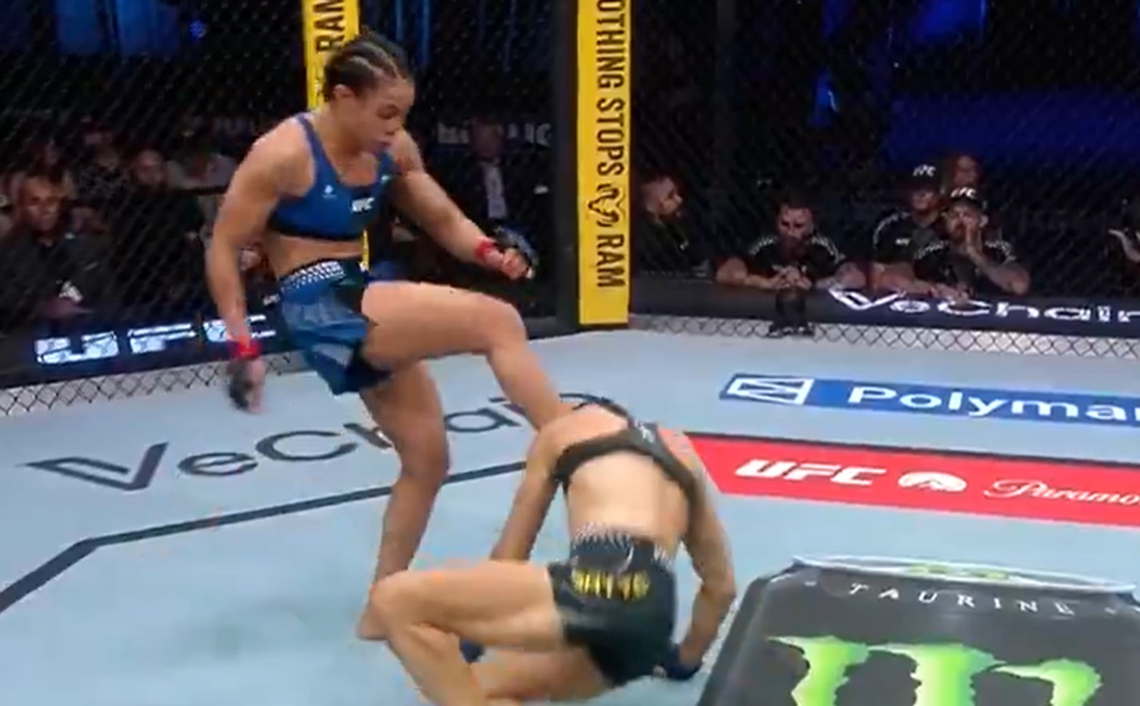 Nielegalny cios. Duża kontrowersja w walce MMA [WIDEO]