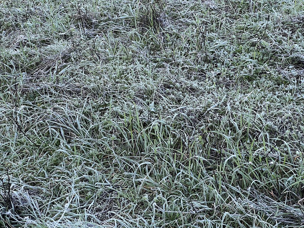 Prognoza pogody na weekend. Zima nie odpuszcza