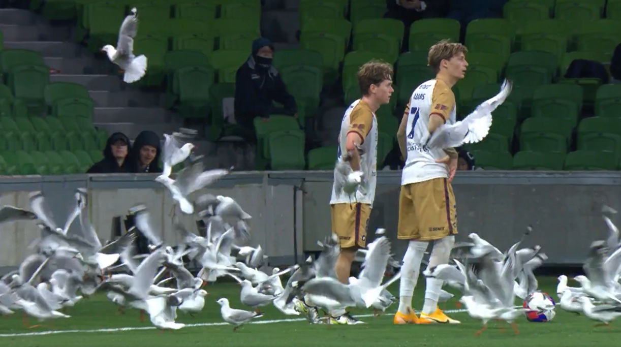 Kuriozalne sceny w meczu. I to w takim momencie!