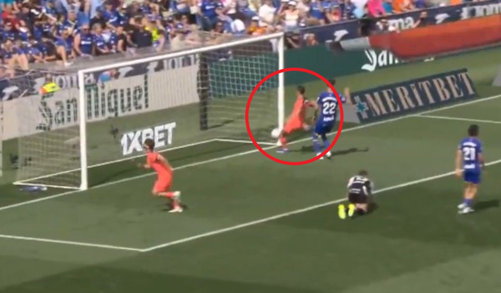 Lewandowski czekał. Tak zachował się po golu