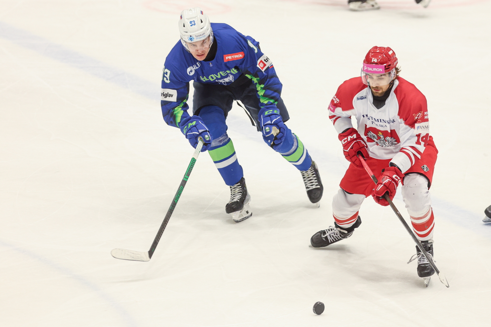 Wielki rewanż Polaków. Świetne zwycięstwo w Tychach