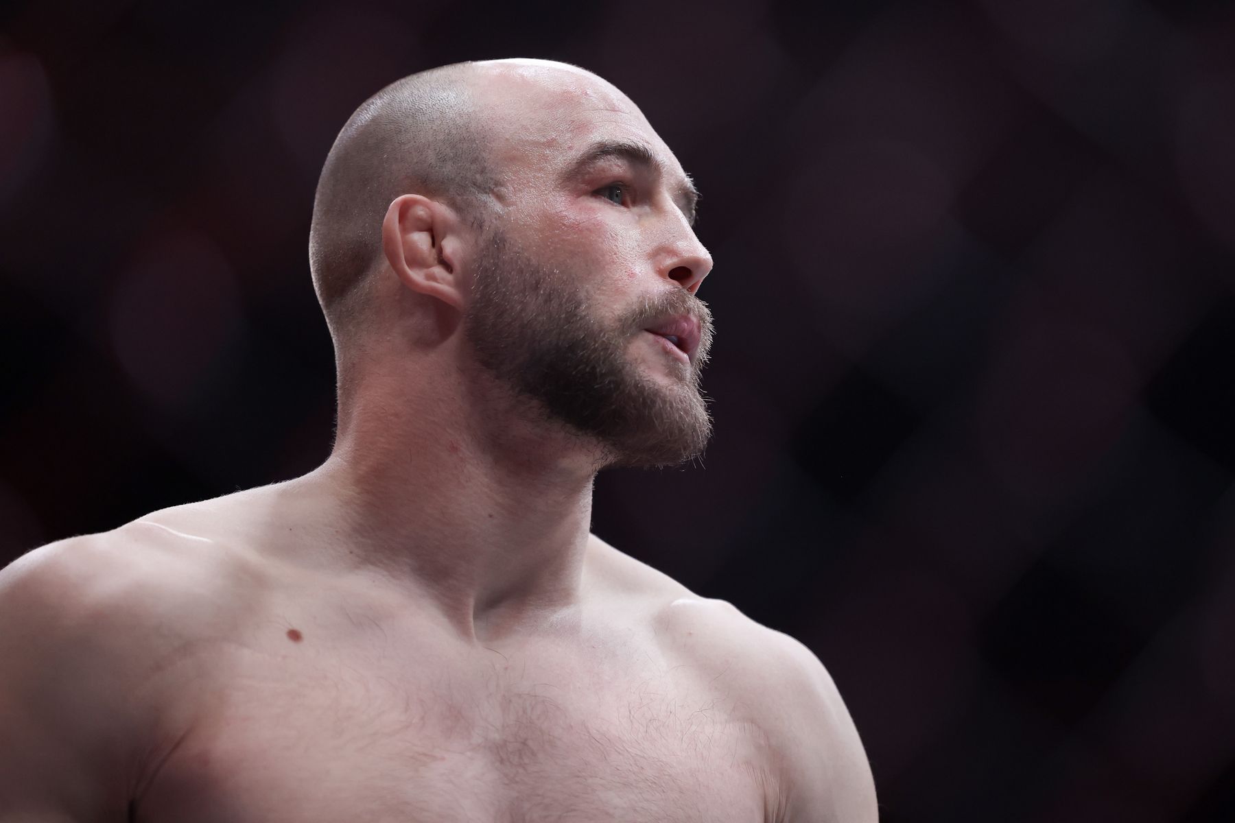"Nie zostawiacie suchej nitki". Gorzkie słowa Rębeckiego po przegranej w UFC