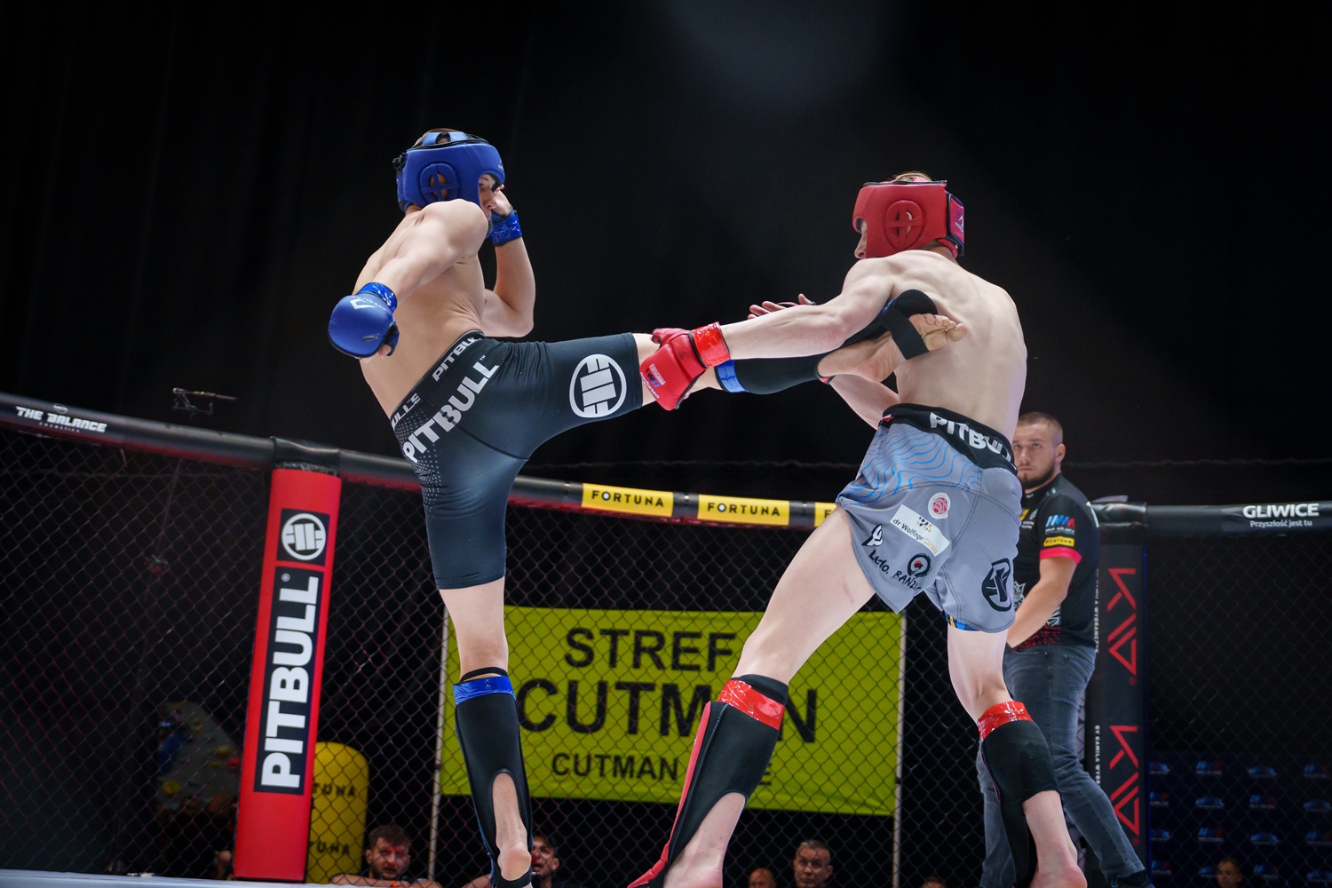 Blisko 850 zawodników zawalczy podczas Mistrzostw Polski MMA 2026