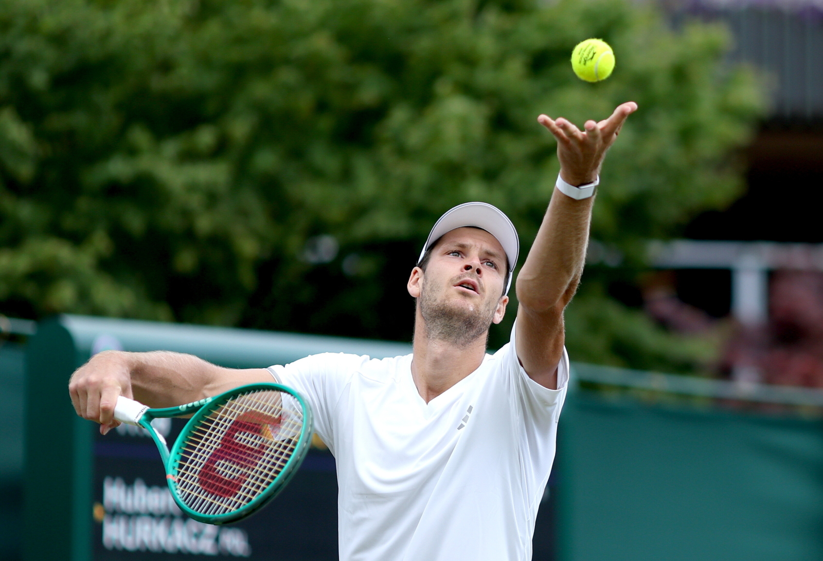 Hurkacz – Paul w trzeciej rundzie Wimbledonu. Kursy, typy, analiza, transmisja