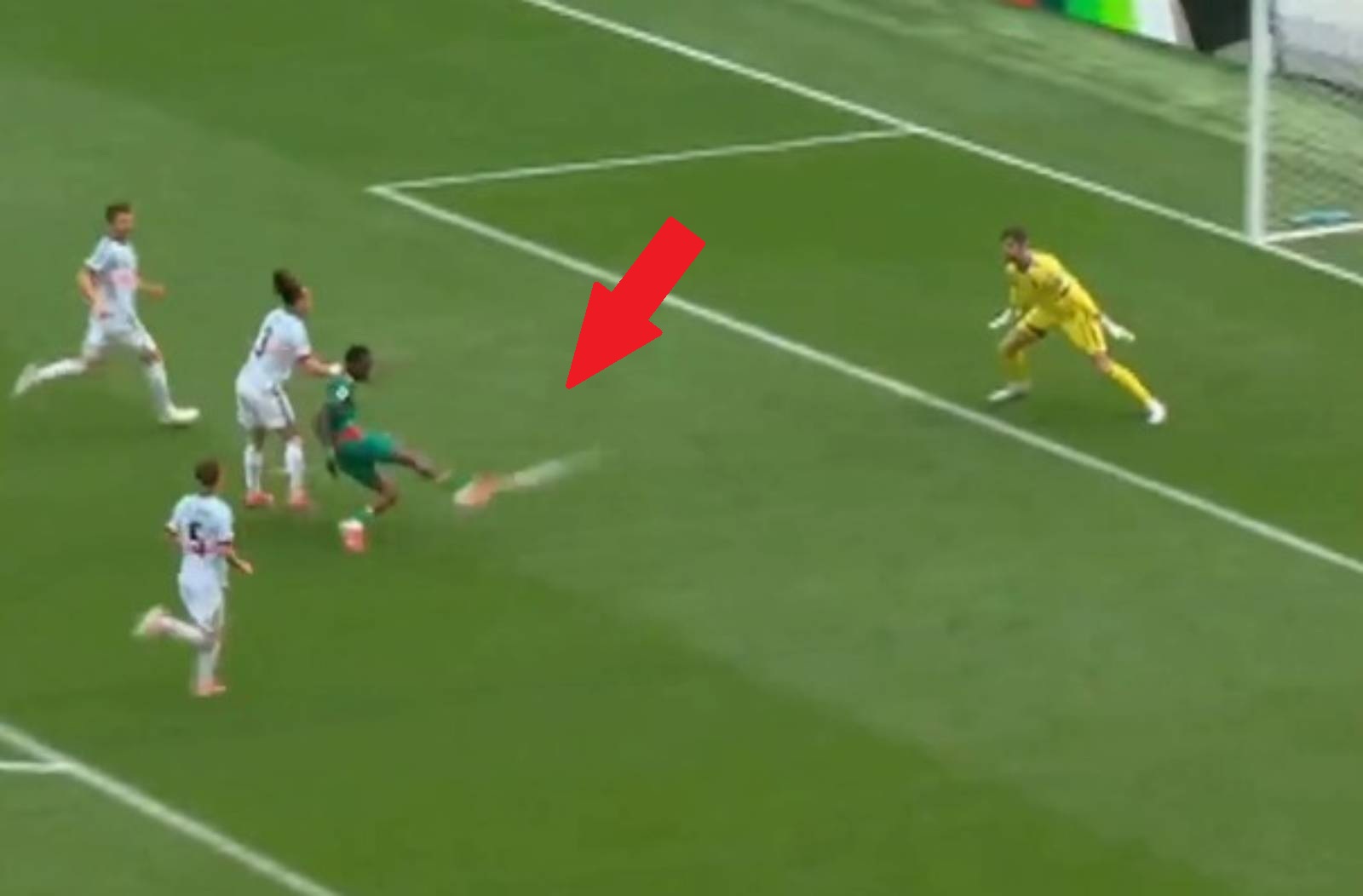 Fenomenalny gol Senegalu. Ale potem zaczął się dramat [WIDEO]
