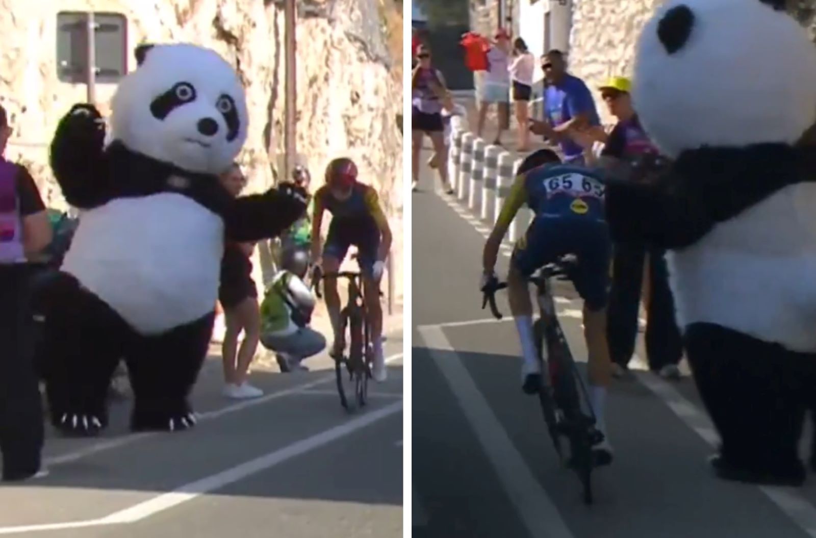 Kuriozalne sceny na Tour de France. Nie uwierzysz, kto "zaatakował" kolarkę