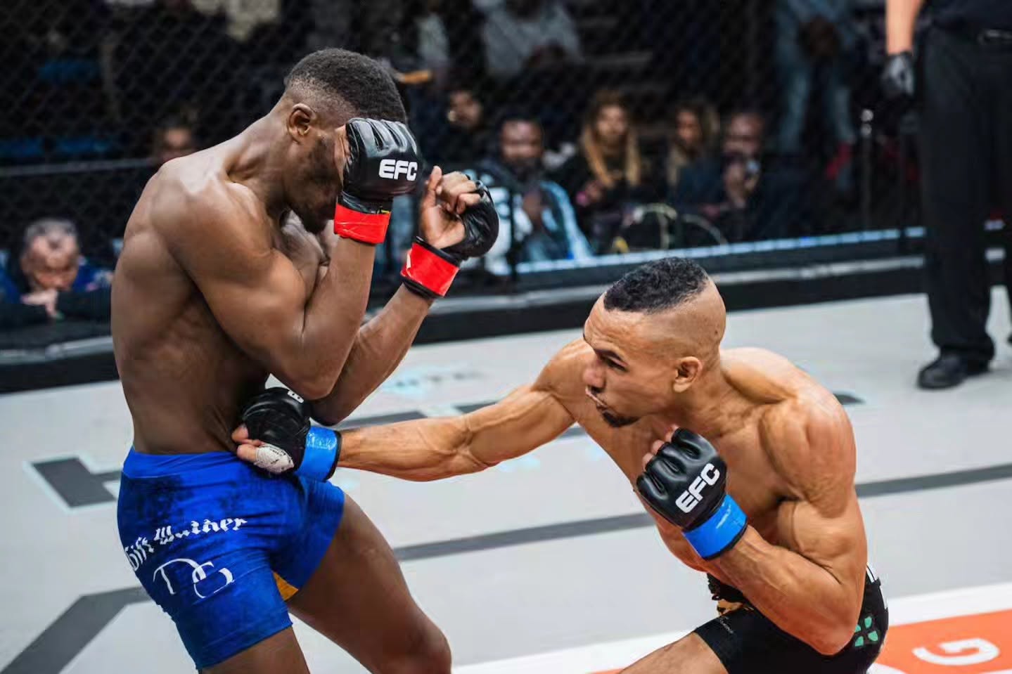 EFC 137: Jacobs rusza po drugi mistrzowski pas. Na żywo w Fightklubie!