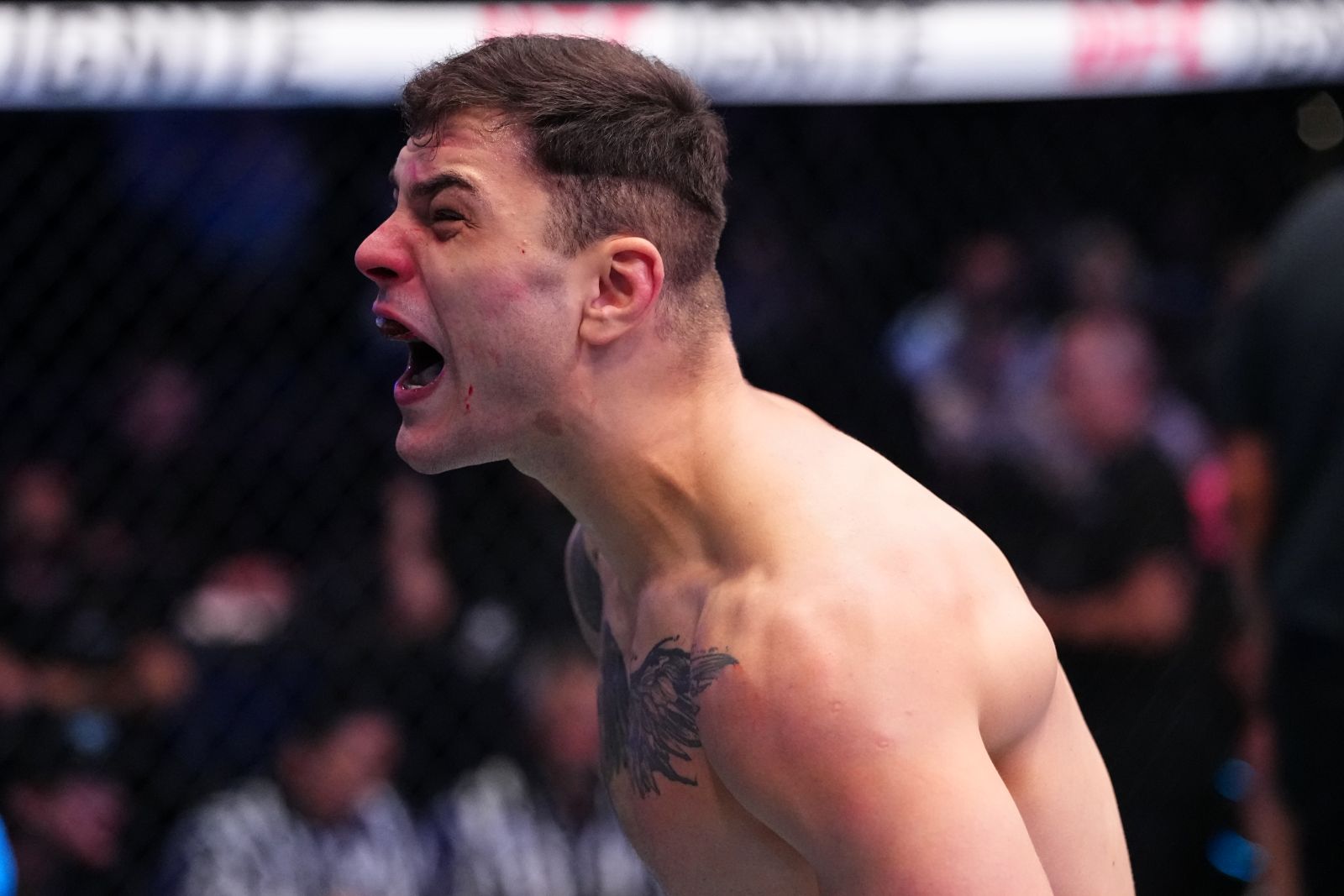 Szef UFC skomentował wygraną Polaka