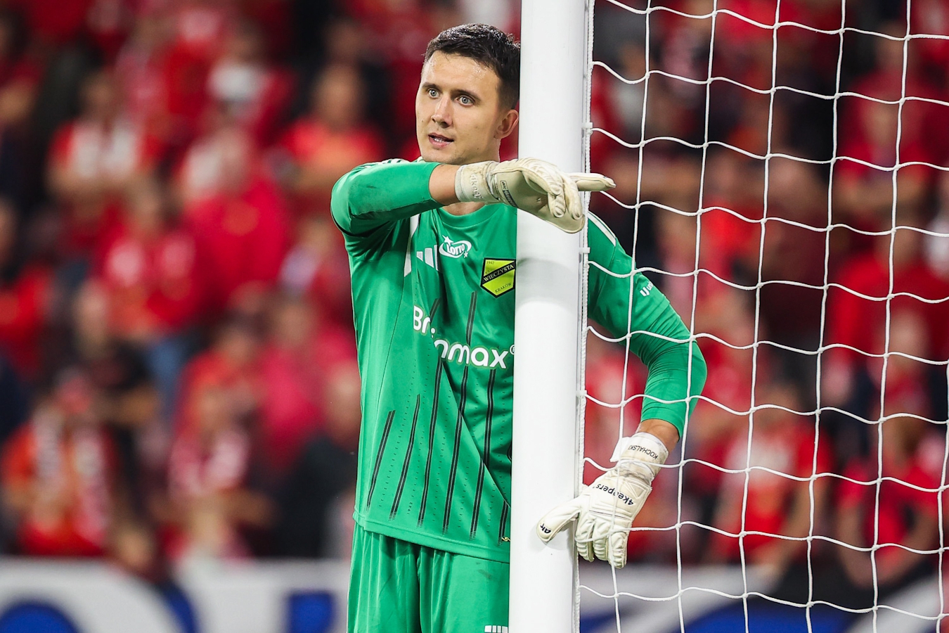 Z Ligi Mistrzów do Wieczystej. Kadrowicz mówi prawdę o sensacyjnym transferze