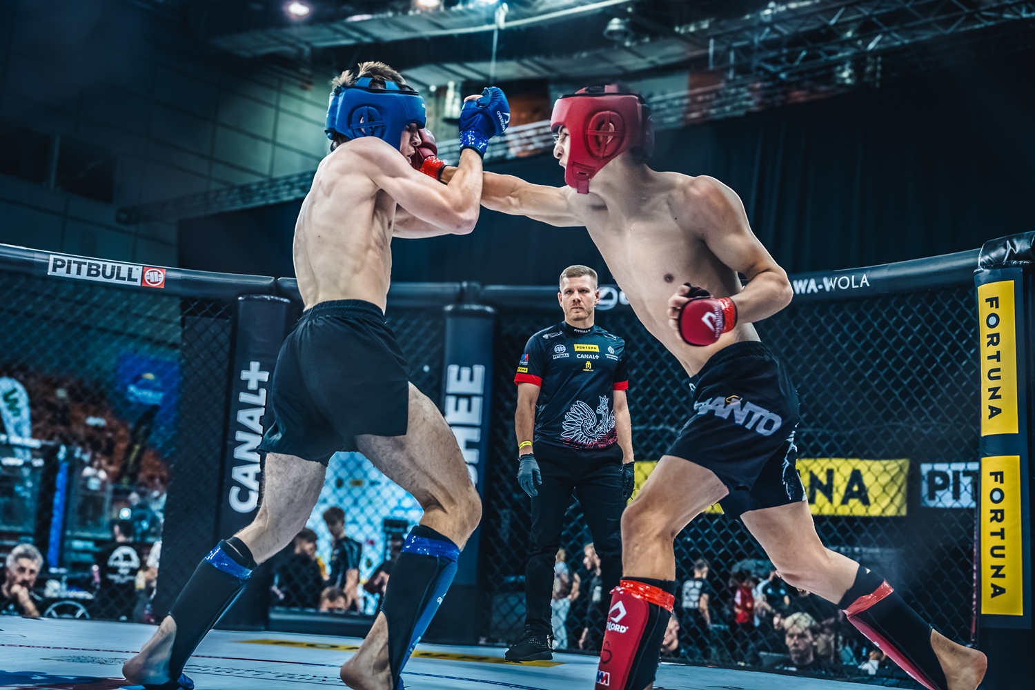 Ponad 650 walk stoczono podczas 17. Mistrzostw MMA